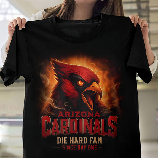 AC Nfl Team Spirit Shirt DDT HLPHUONG